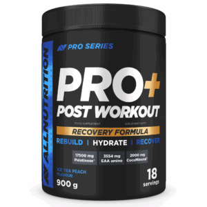 Pro+ Post Workout 900g